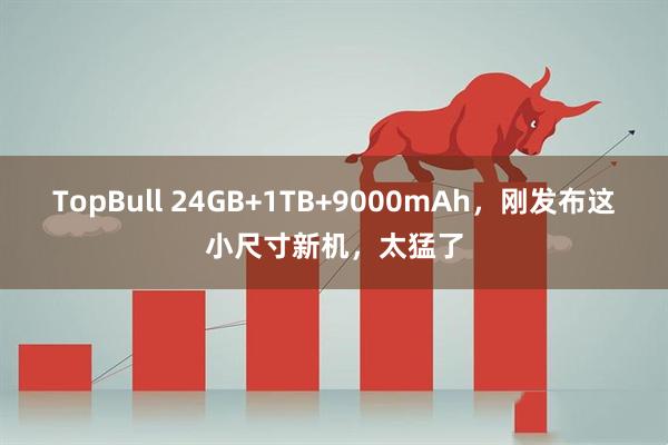 TopBull 24GB+1TB+9000mAh，刚发布这小尺寸新机，太猛了