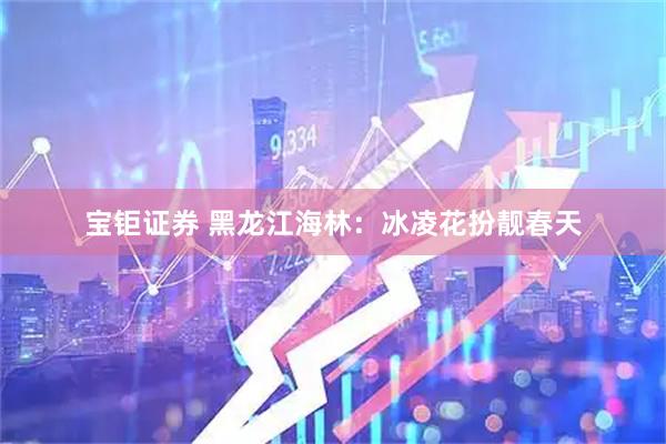 宝钜证券 黑龙江海林：冰凌花扮靓春天