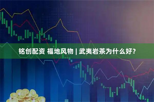 铭创配资 福地风物 | 武夷岩茶为什么好？