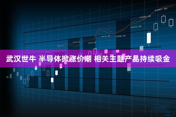 武汉世牛 半导体掀涨价潮 相关主题产品持续吸金