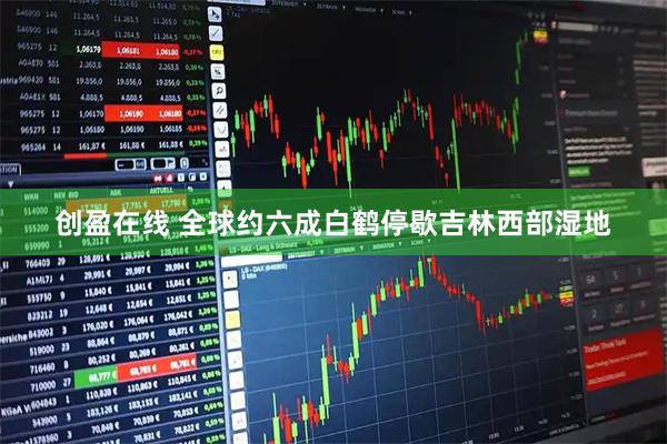 创盈在线 全球约六成白鹤停歇吉林西部湿地