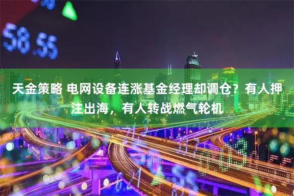 天金策略 电网设备连涨基金经理却调仓？有人押注出海，有人转战燃气轮机