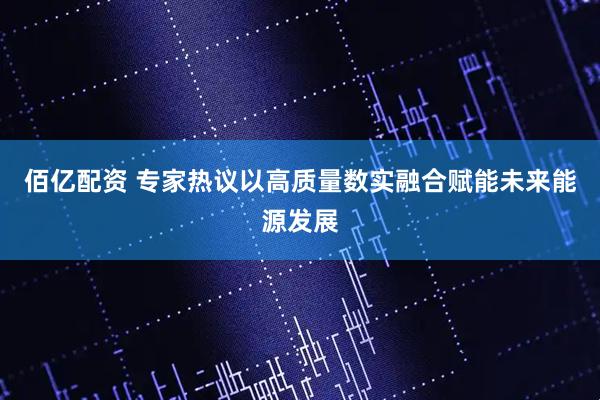 佰亿配资 专家热议以高质量数实融合赋能未来能源发展