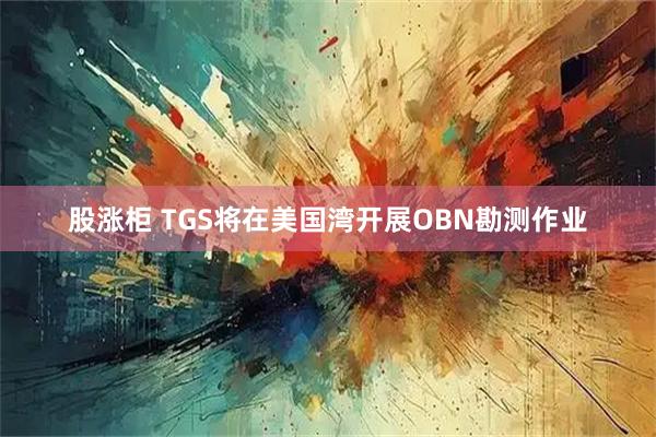 股涨柜 TGS将在美国湾开展OBN勘测作业