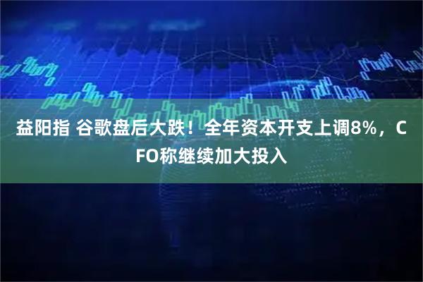 益阳指 谷歌盘后大跌！全年资本开支上调8%，CFO称继续加大投入