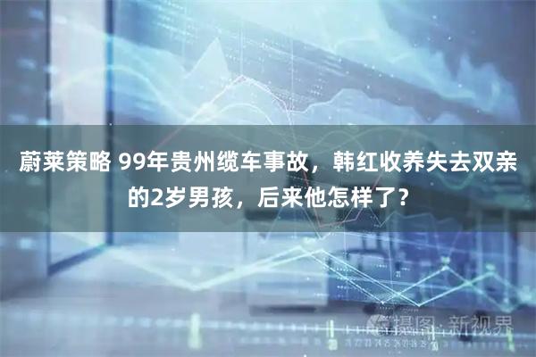 蔚莱策略 99年贵州缆车事故，韩红收养失去双亲的2岁男孩，后来他怎样了？