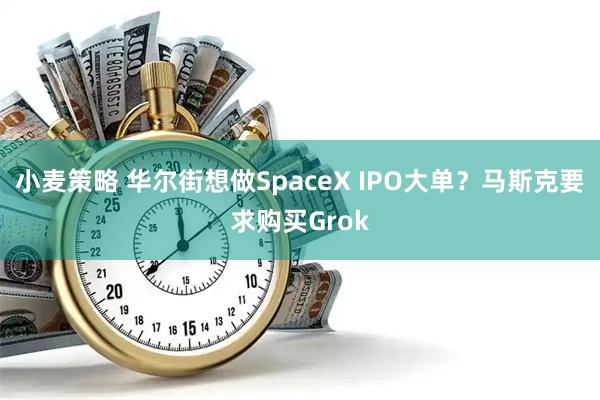 小麦策略 华尔街想做SpaceX IPO大单？马斯克要求购买Grok
