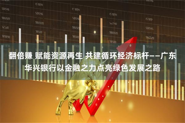 翻倍赚 赋能资源再生 共建循环经济标杆——广东华兴银行以金融之力点亮绿色发展之路
