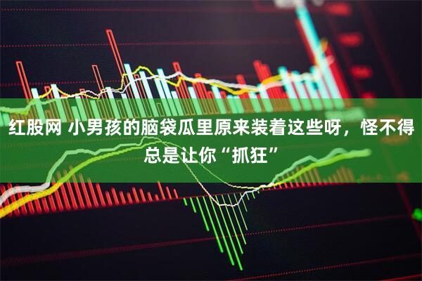 红股网 小男孩的脑袋瓜里原来装着这些呀，怪不得总是让你“抓狂”