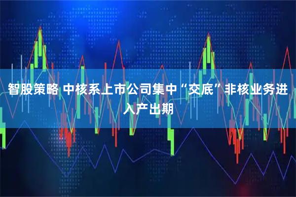 智股策略 中核系上市公司集中“交底”非核业务进入产出期