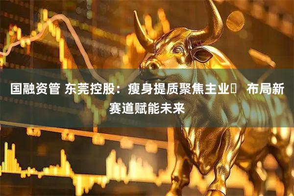国融资管 东莞控股：瘦身提质聚焦主业‌ 布局新赛道赋能未来