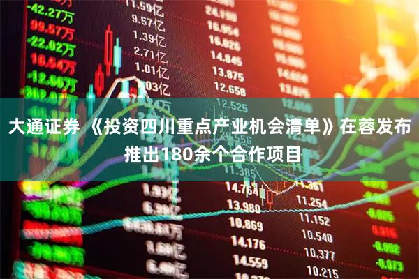 大通证券 《投资四川重点产业机会清单》在蓉发布 推出180余个合作项目