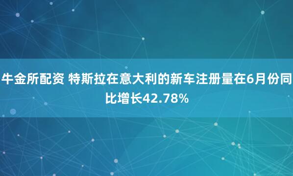 牛金所配资 特斯拉在意大利的新车注册量在6月份同比增长42.78%